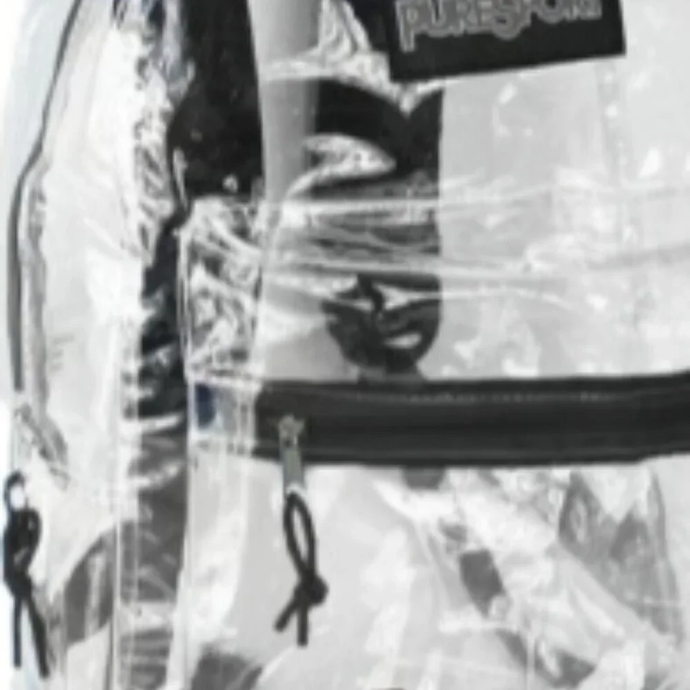 Clear Black Backpack 17
